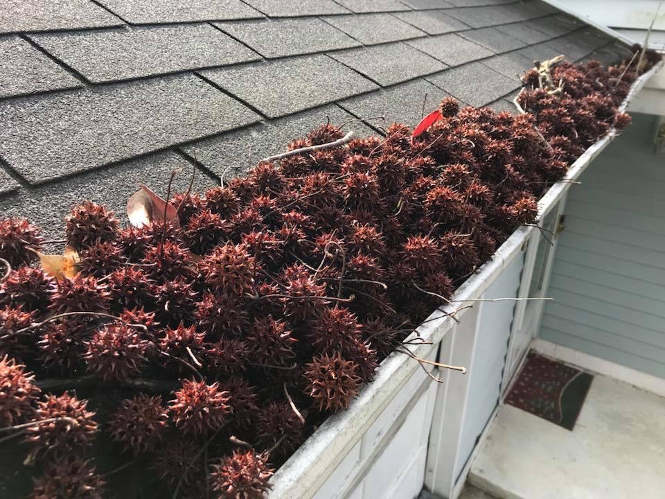 Do your gutters look like this?